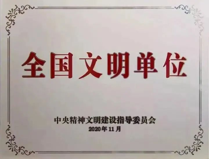xc sports(中国区)-官方网站