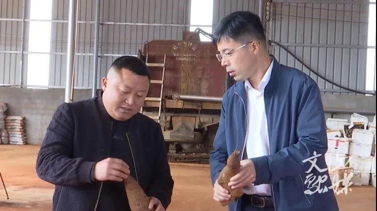 xc sports(中国区)-官方网站