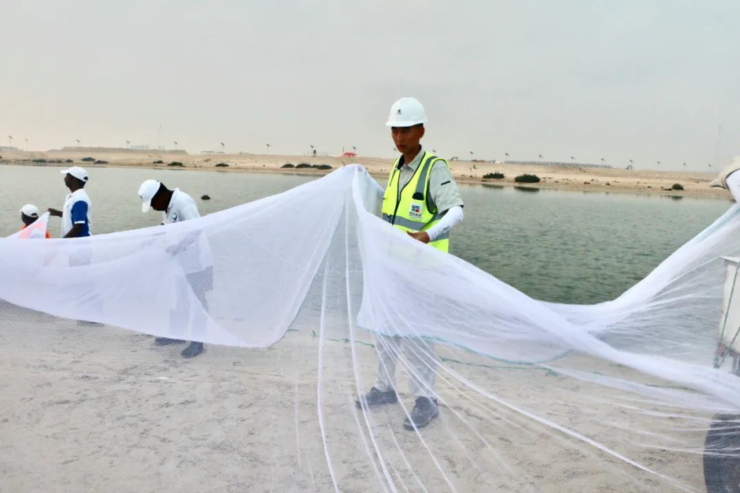 xc sports(中国区)-官方网站