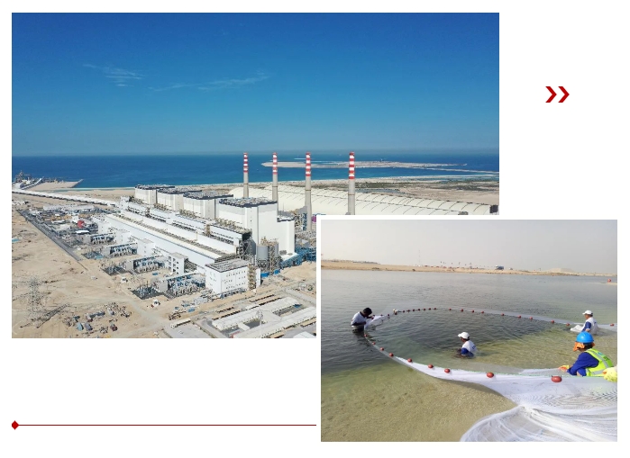 xc sports(中国区)-官方网站