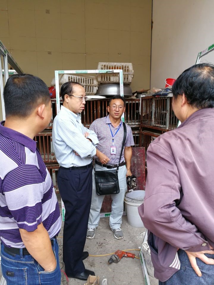 xc sports(中国区)-官方网站