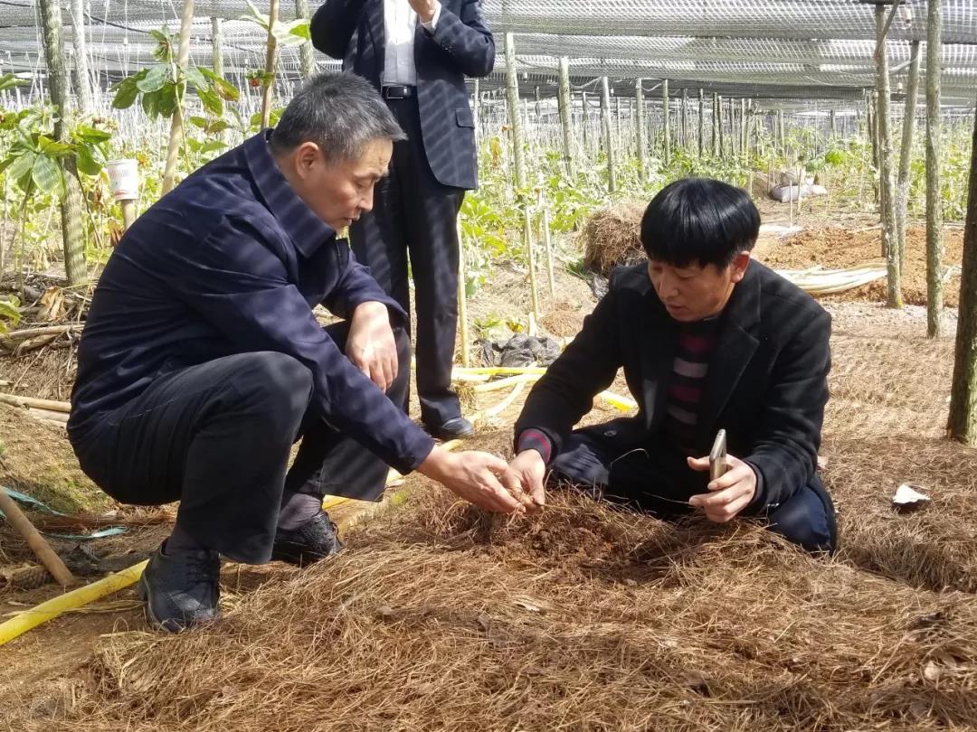 xc sports(中国区)-官方网站