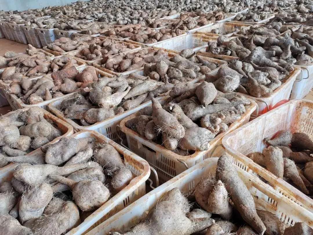 xc sports(中国区)-官方网站