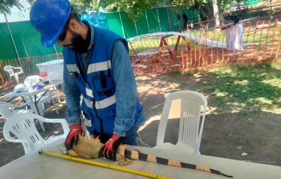 xc sports(中国区)-官方网站