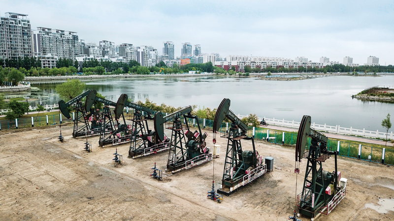 xc sports(中国区)-官方网站