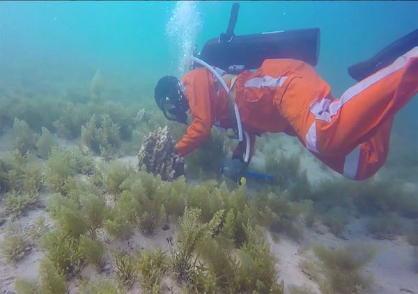 xc sports(中国区)-官方网站