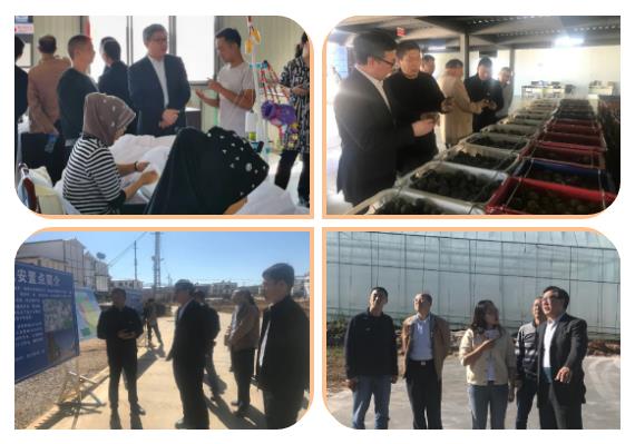 xc sports(中国区)-官方网站