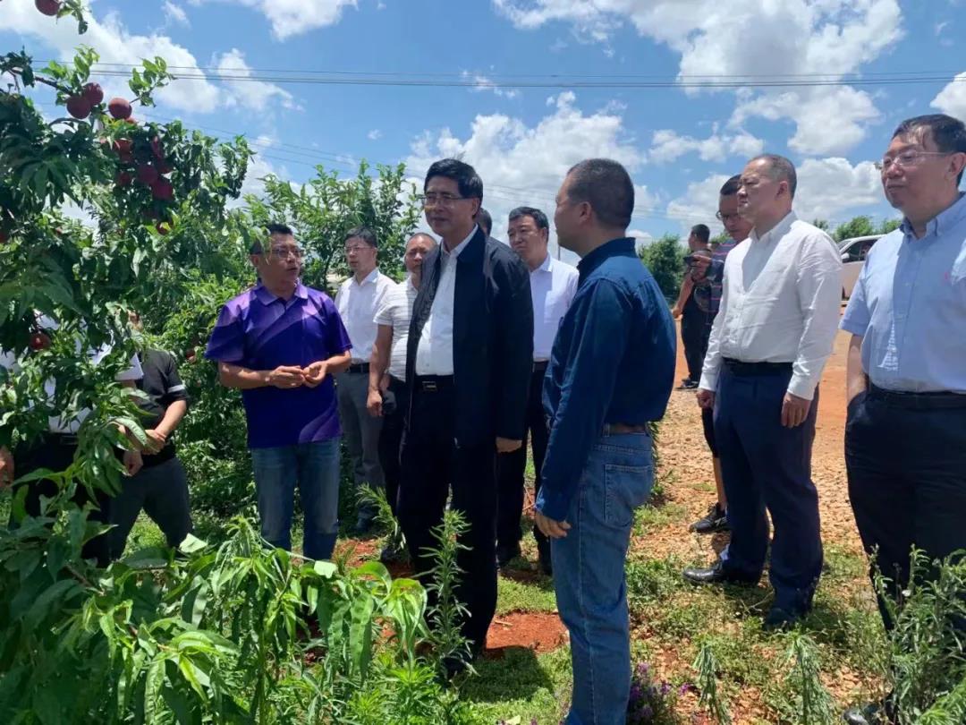 xc sports(中国区)-官方网站