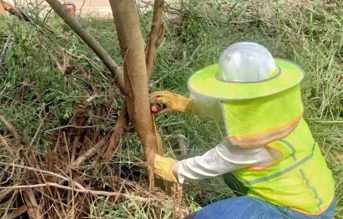 xc sports(中国区)-官方网站