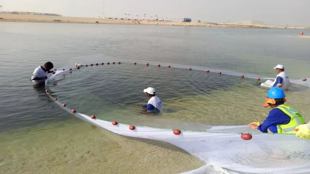 xc sports(中国区)-官方网站