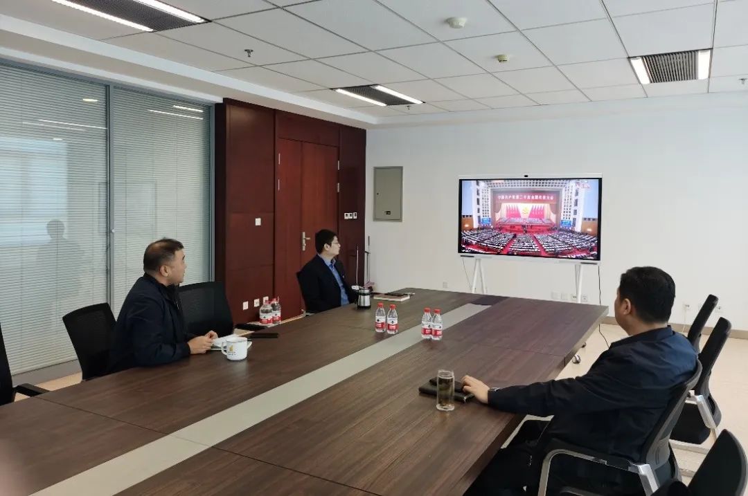 xc sports(中国区)-官方网站