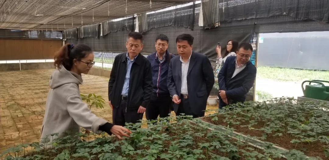 xc sports(中国区)-官方网站