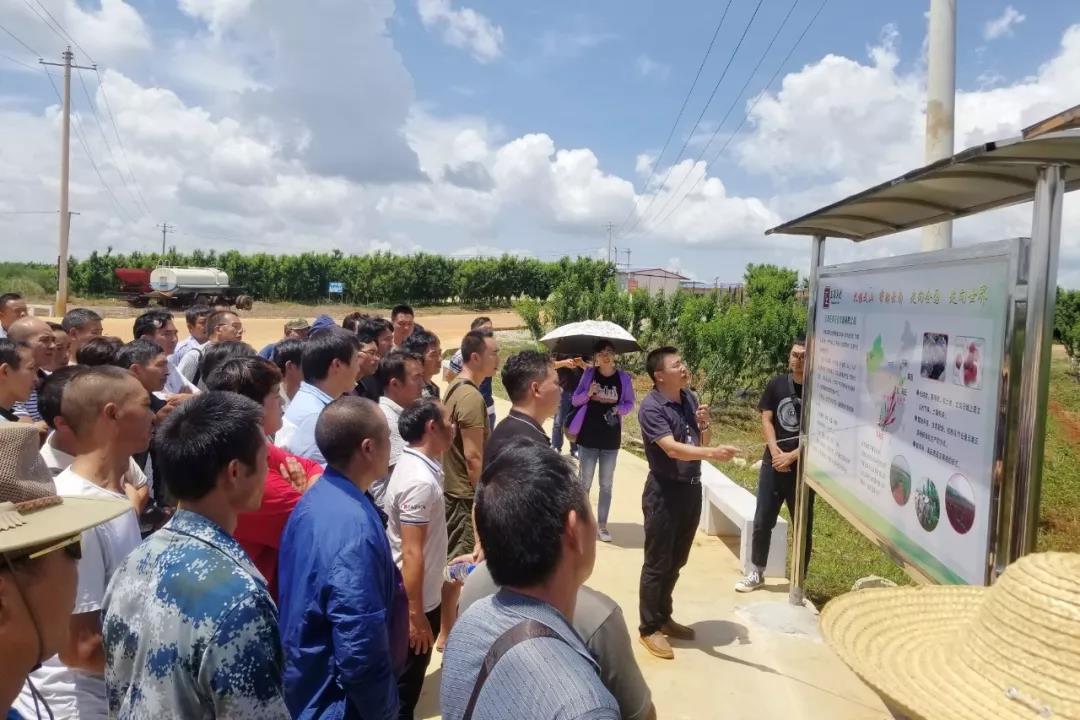 xc sports(中国区)-官方网站