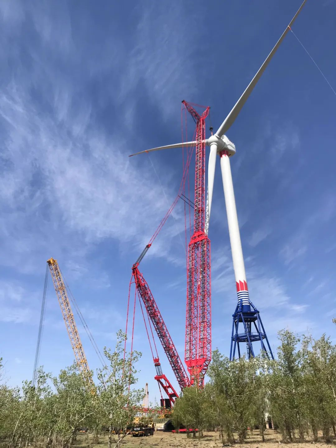 xc sports(中国区)-官方网站