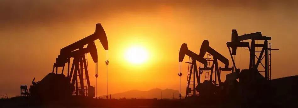 xc sports(中国区)-官方网站