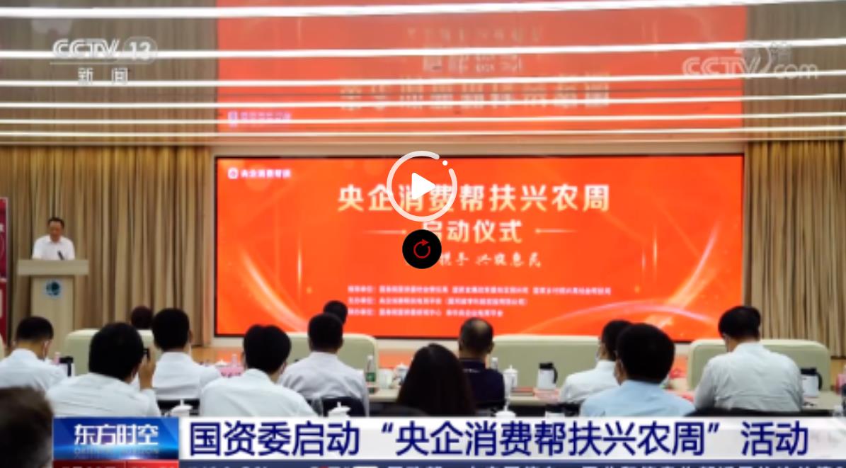 xc sports(中国区)-官方网站